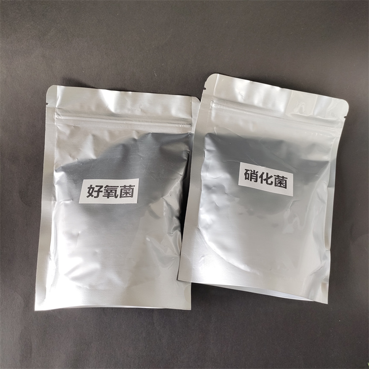 微生物菌種圖片 微生物菌種圖片